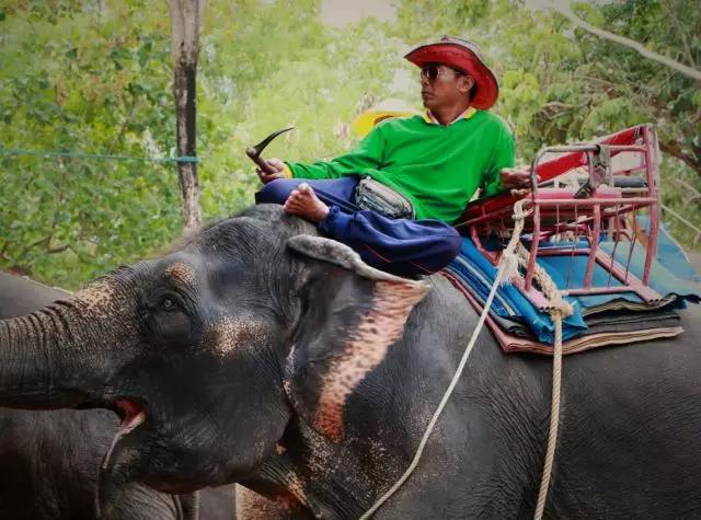 蘇州科技項(xiàng)目咨詢(xún)公司，科技項(xiàng)目，創(chuàng)新創(chuàng)業(yè)扶持政策，http://www.cosmell.com/，智為銘略，科技項(xiàng)目咨詢(xún)，科技項(xiàng)目咨詢(xún)公司，蘇州智為銘略企業(yè)管理有限公司