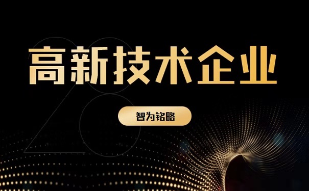 高新企業發展年報