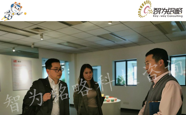 高新技術企業(yè)培育