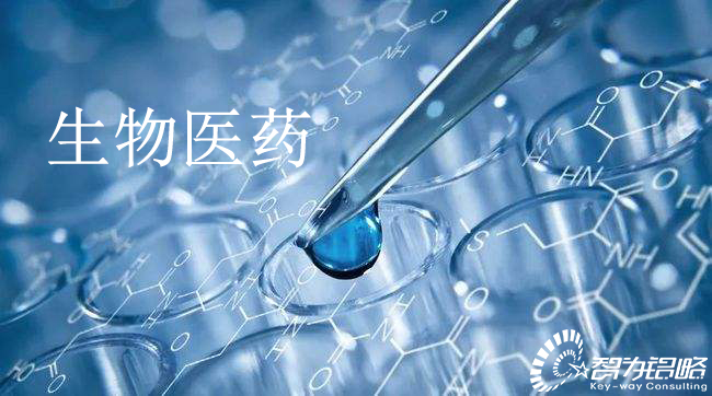 蘇州市生物醫藥產業創新(政策性資助)項目