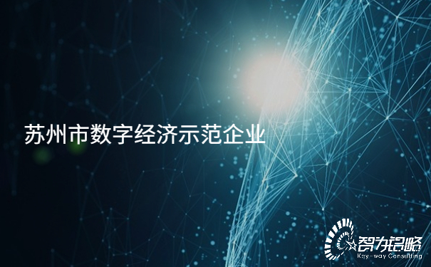 蘇州市數字經濟示范企業.jpg