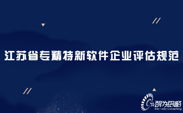江蘇省專精特新軟件企業評估規范.jpg