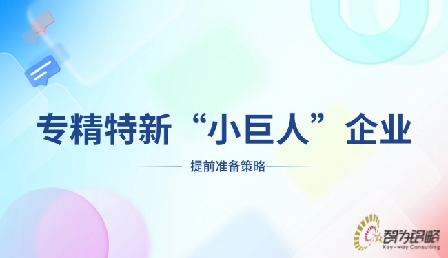專精特新“小巨人”企業提前準備策略.jpg