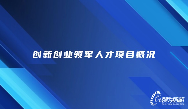 創(chuàng)新創(chuàng)業(yè)領(lǐng)軍人才項目概況