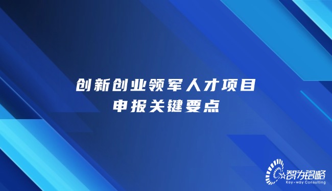 創(chuàng)新創(chuàng)業(yè)領(lǐng)軍人才項目咨詢關(guān)鍵要點(diǎn)