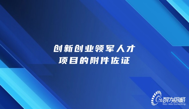 創(chuàng)新創(chuàng)業(yè)領(lǐng)軍人才項目的附件佐證