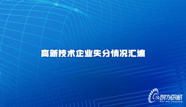 高新技術企業(yè)失分情況匯編