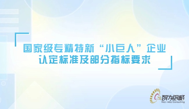 ***專精特新“小巨人”企業(yè)認定標準及部分指標要求