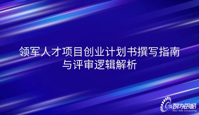 領(lǐng)軍人才項(xiàng)目創(chuàng)業(yè)計(jì)劃書撰寫指南與評(píng)審邏輯解析.jpg