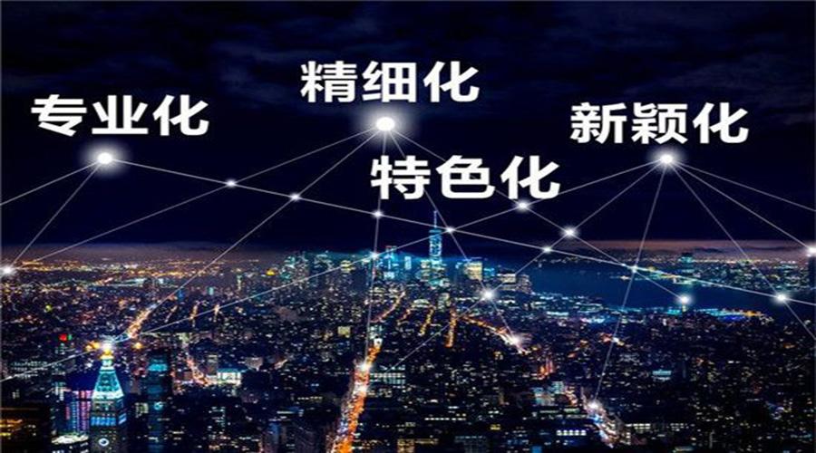 張家港市專精特新“小巨人”企業培育提升三年行動計劃(2022-2024年)【智為銘略轉發】